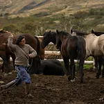Hotel Las Torres Patagonia
